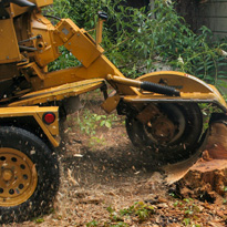 <h3>Stump Grinder Tools</h3>