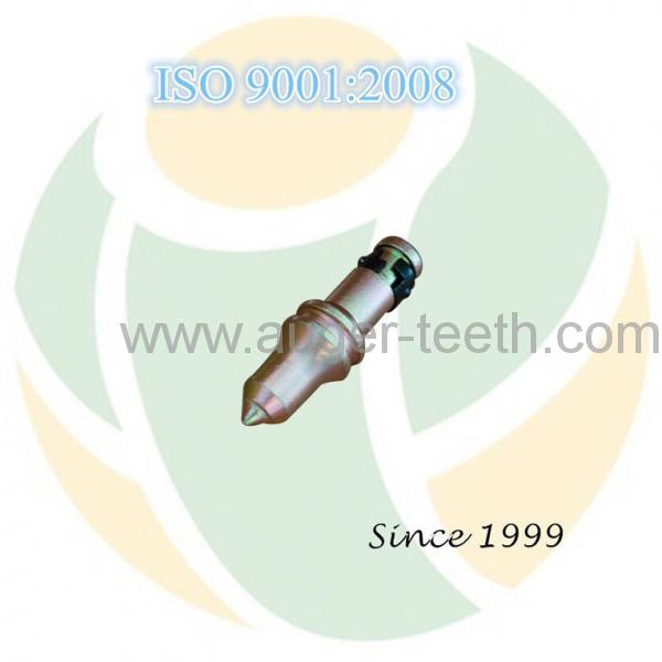 Conical Teeth Bullet Teeth (C21)